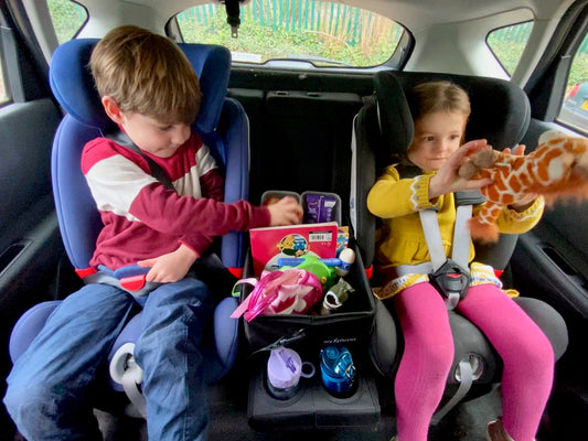 From Your Van to Your Family Picnic!!